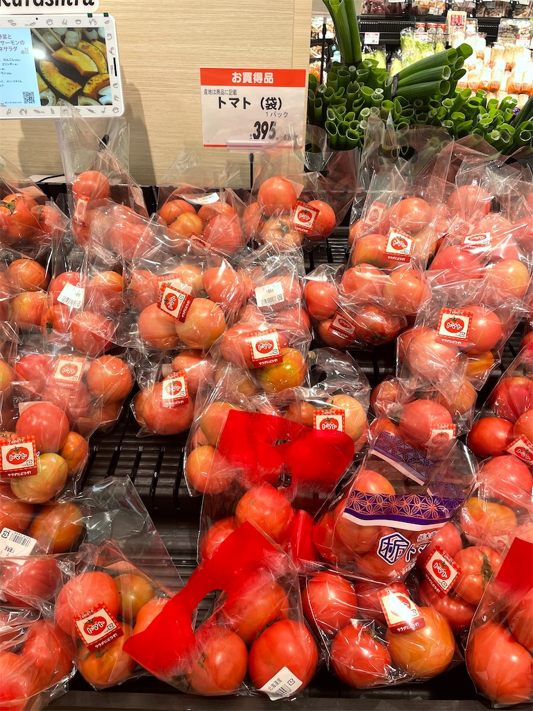 f:id:vidro-man:20251112083750j:image