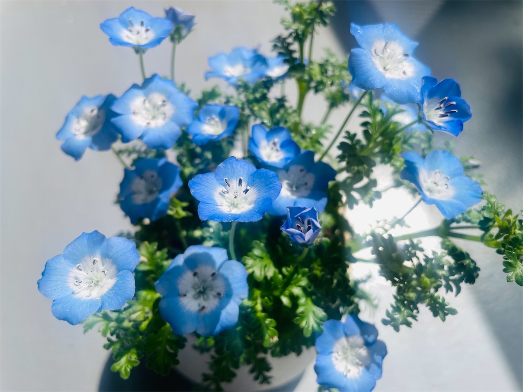 f:id:vidro-man:20260328112134j:image f:id:vidro-man:20260328112134j:image
