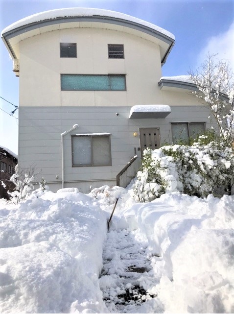 f:id:viecyan:20210111180701j:plain