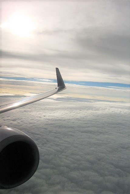 f:id:viecyan:20210129090011j:plain