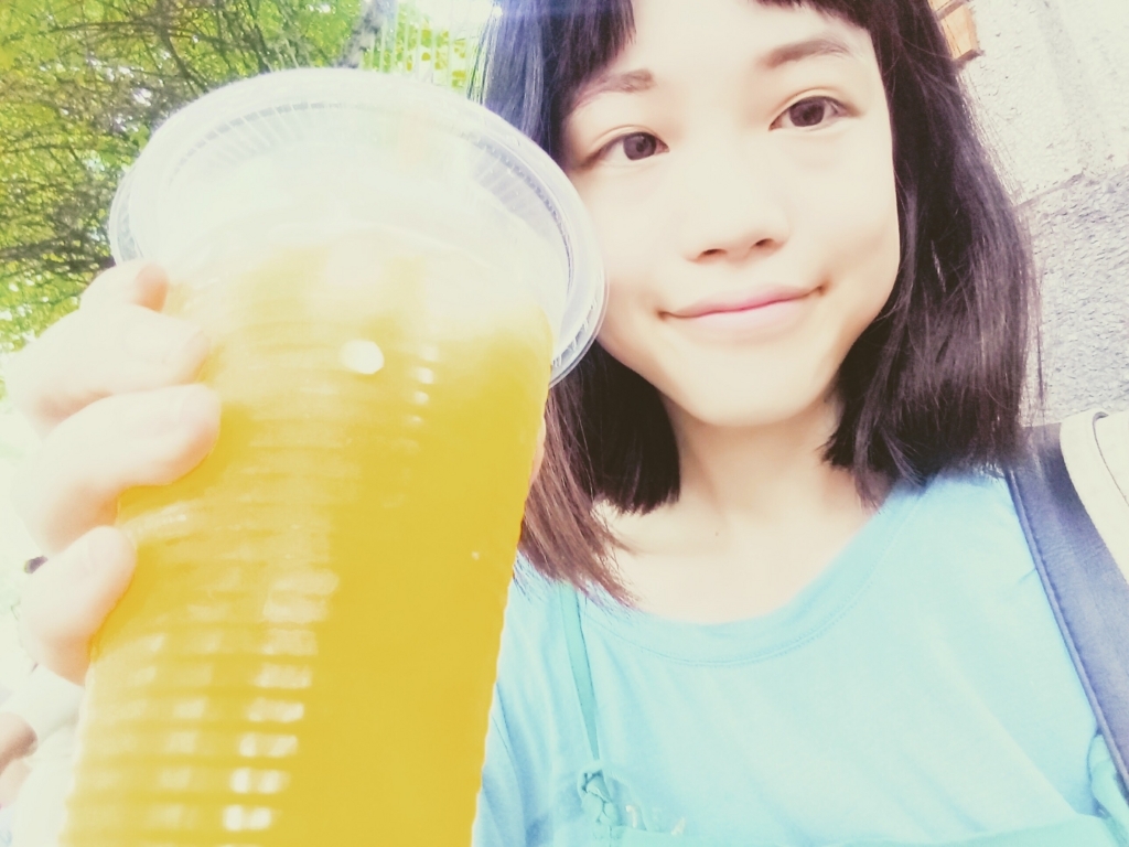 f:id:vietnamgirl:20170710233055j:plain