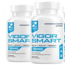 f:id:vigorsmartusa:20210208142417j:plain