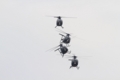 [航空機][OH-6]