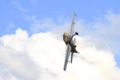 [航空機][Extra 300]