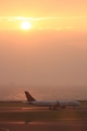 [航空機][A320]
