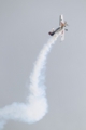 [航空機][Extra 300]