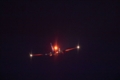 [航空機][B737]