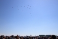 [航空機][T-4]