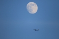 [航空機][月]