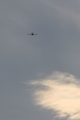 [航空機][T-7]