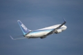 [航空機][B737]