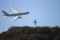 [航空機][KC-767]