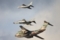[航空機][戦闘機][F-4][T-4][C-1]