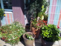 f:id:vincent69:20091012131940j:image:medium