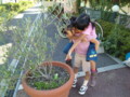 f:id:vincent69:20091012132125j:image:medium