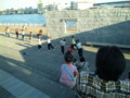 f:id:vincent69:20091012160056j:image:medium