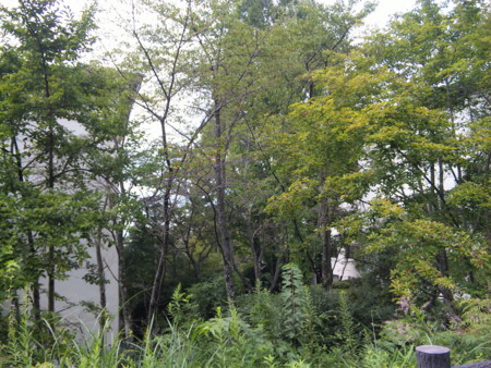 f:id:vincent69:20110918124018j:image:w360:left