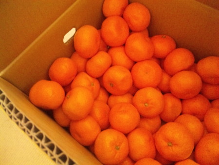 f:id:vincent69:20111231151122j:image:w360:left