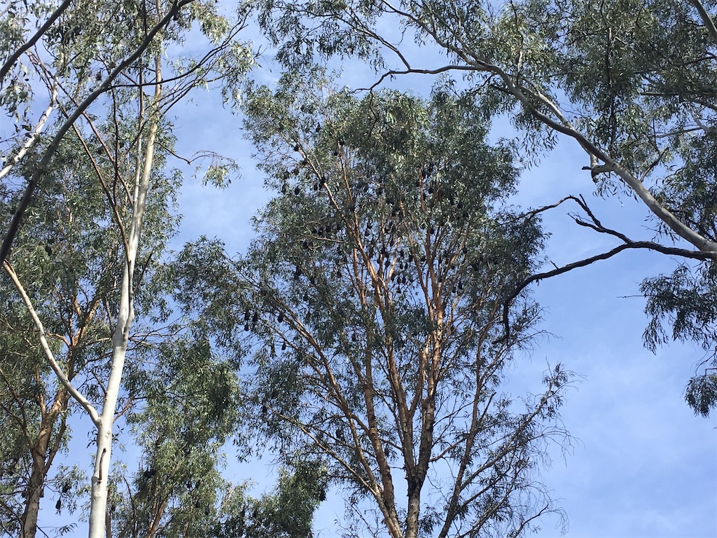 f:id:vinchemi:20191220123515j:plain