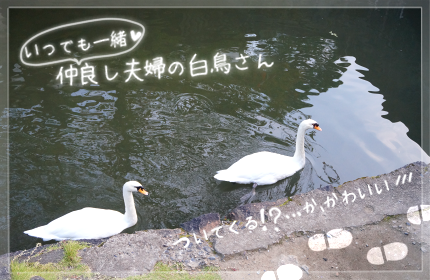 f:id:vinculum:20170316130211p:plain f:id:vinculum:20170316130211p:plain