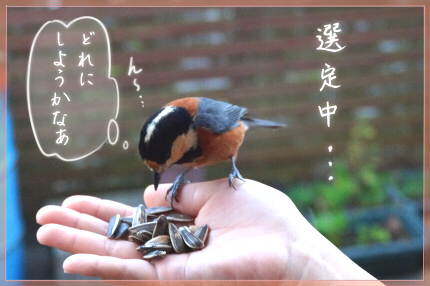f:id:vinculum:20170316141024p:plain f:id:vinculum:20170316141024p:plain