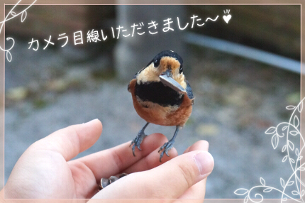 f:id:vinculum:20170316141151p:plain f:id:vinculum:20170316141151p:plain