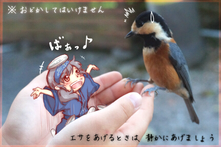 f:id:vinculum:20170316141254p:plain f:id:vinculum:20170316141254p:plain