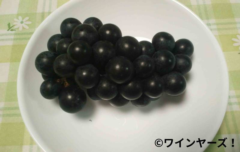 f:id:vineyards:20181124051509j:plain