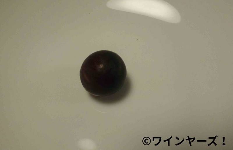 f:id:vineyards:20181124051540j:plain