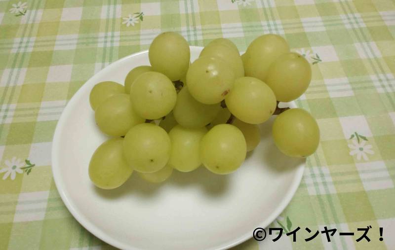 f:id:vineyards:20181124051608j:plain