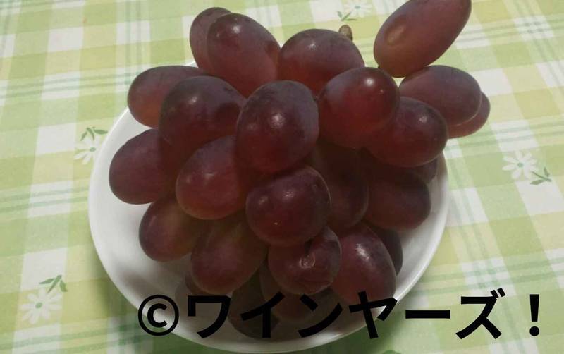 f:id:vineyards:20191016112603j:plain