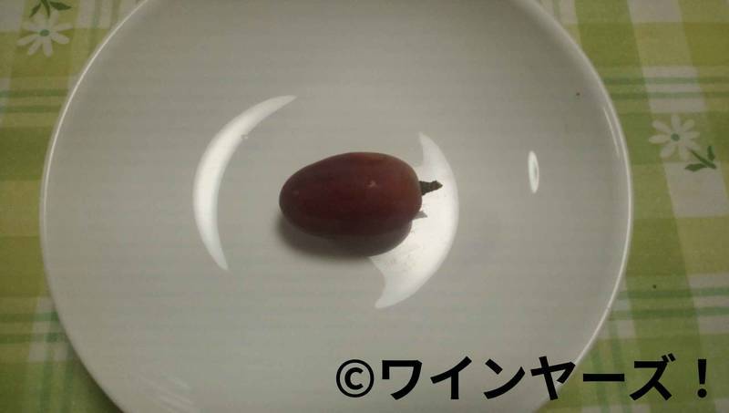 f:id:vineyards:20191016112618j:plain
