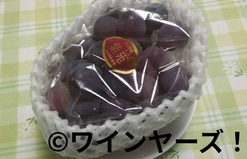 f:id:vineyards:20191016112632j:plain