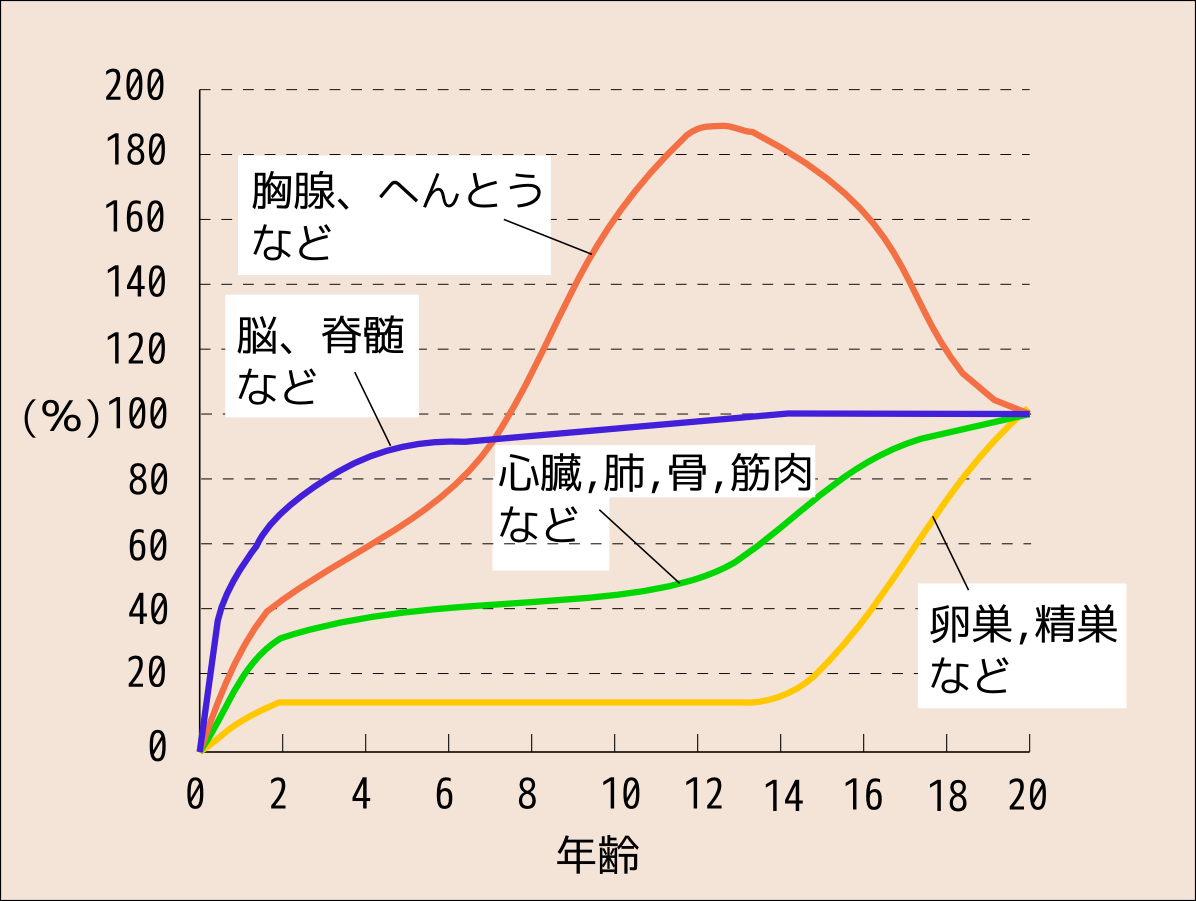 f:id:vintage-code001:20190504111928p:plain