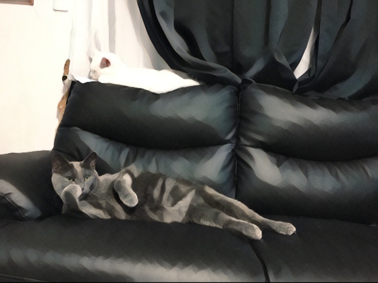 f:id:vintraw:20200723221749j:plain