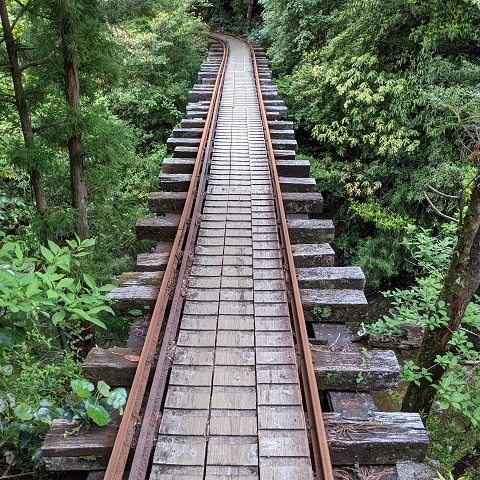 鹿児島③屋久島縄文杉登山 2021年5月 - violet7688旅のこと