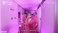 NHK MUSIC SPECIAL ～ayu 25年の軌跡～ 2023
