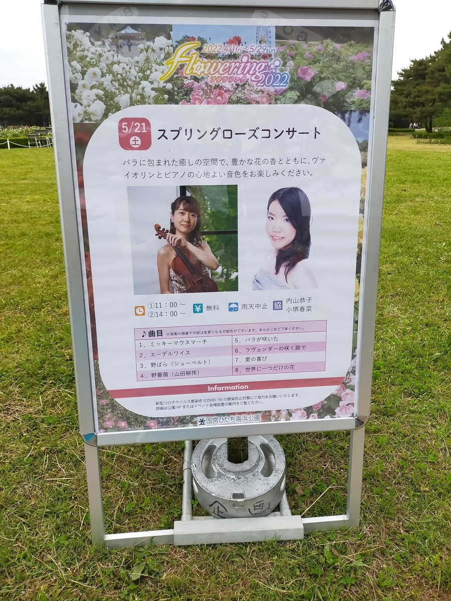 ひたち海浜公園とは 地理の人気 最新記事を集めました はてな