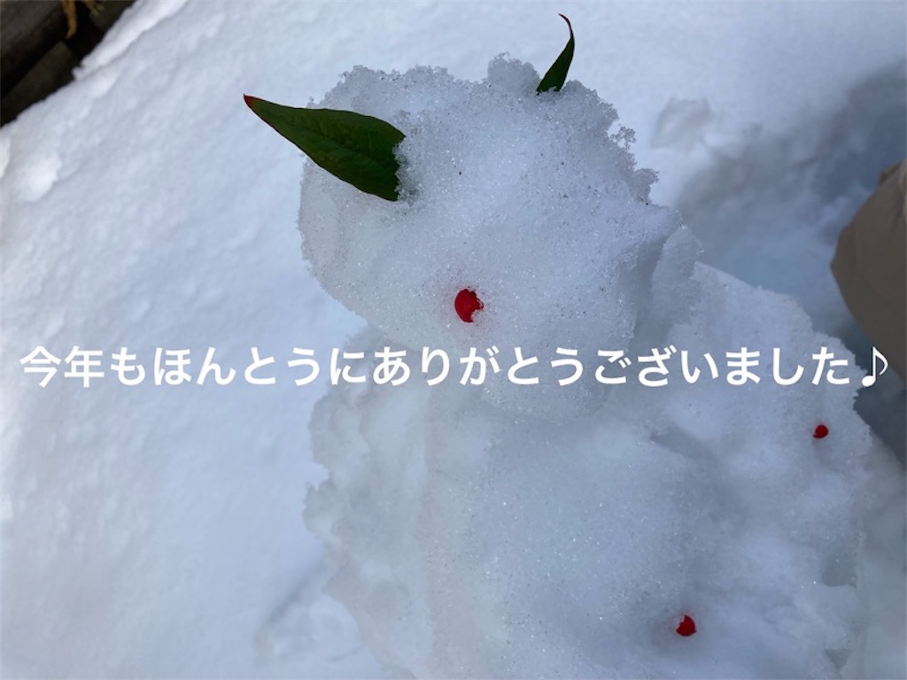 f:id:violin-sonata:20221231135215j:image