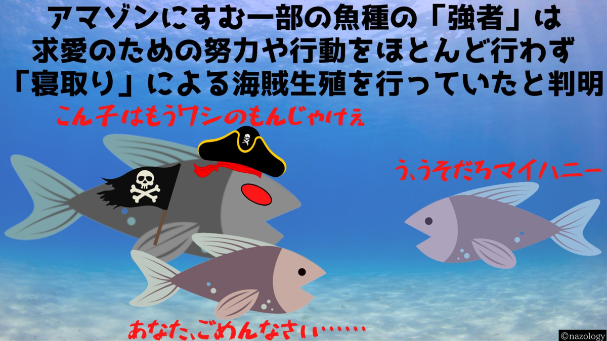 空前の寝取られブーム 魚界隈でも流行る パニック速報