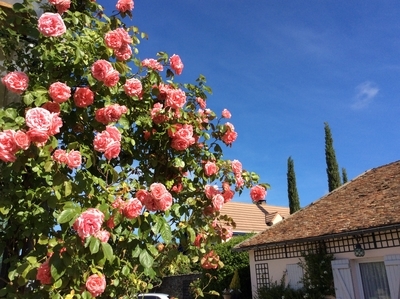フランス郊外3