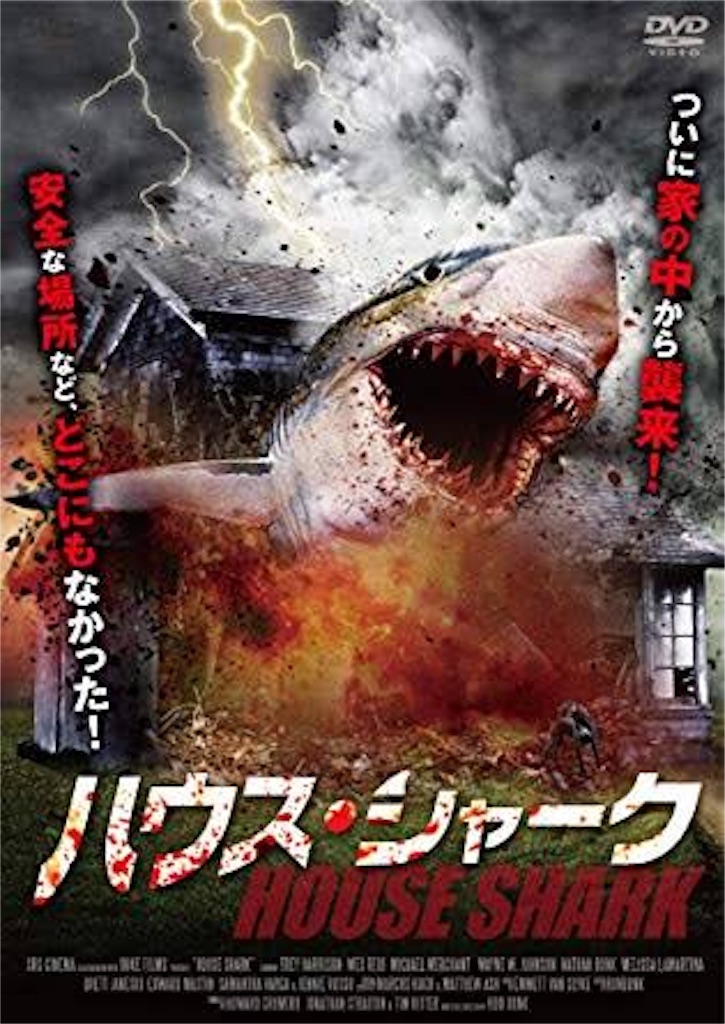 f:id:virtual-reviewer:20190112080111j:image f:id:virtual-reviewer:20190112080111j:image