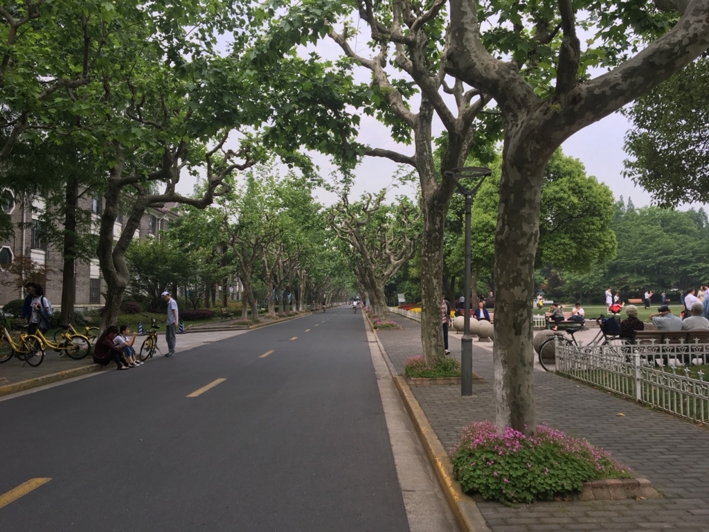 f:id:virtual-surfer:20180505151908j:plain