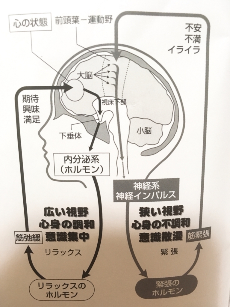 f:id:visionblain:20180827212037j:plain f:id:visionblain:20180827212037j:plain