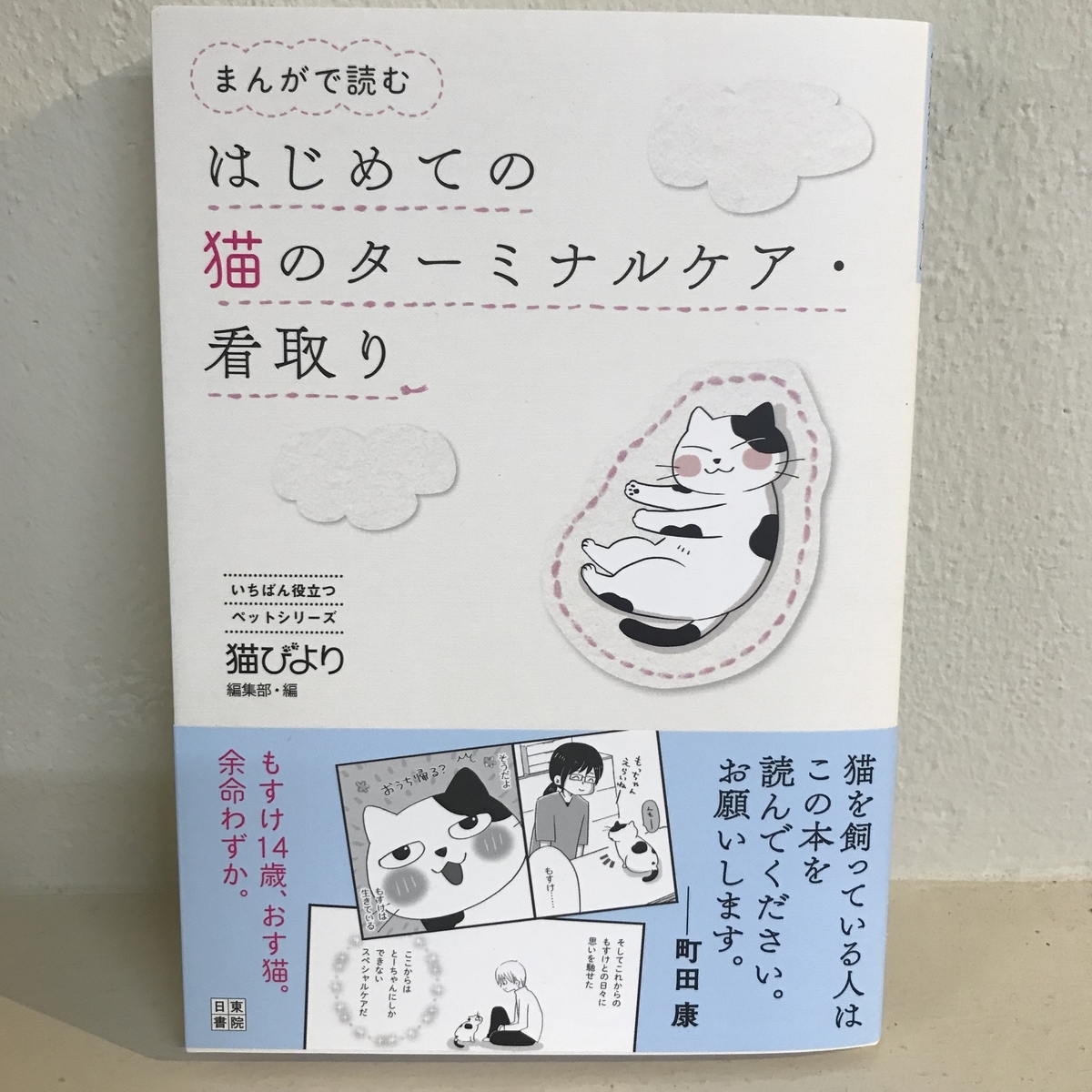 f:id:visionspet:20190527111423j:plain