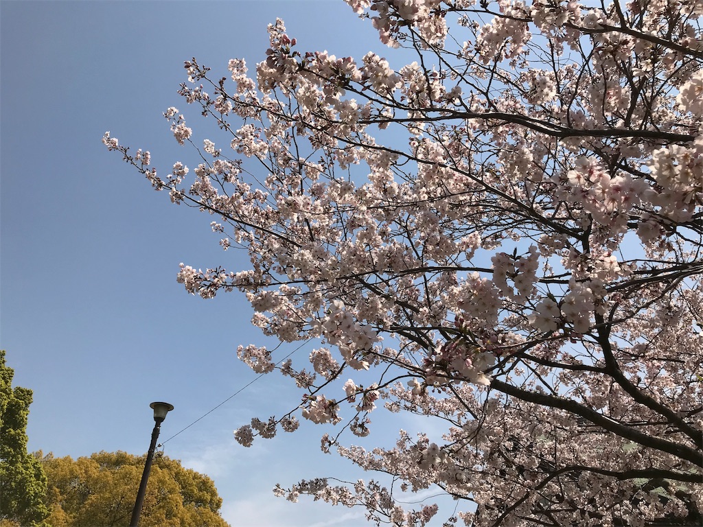 f:id:visionursing:20190412142950j:image f:id:visionursing:20190412142950j:image