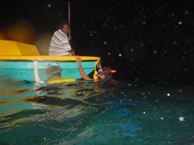 f:id:visitsolomons:20210116121502j:plain