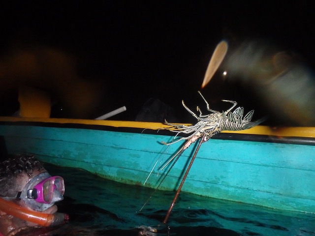 f:id:visitsolomons:20210116121659j:plain