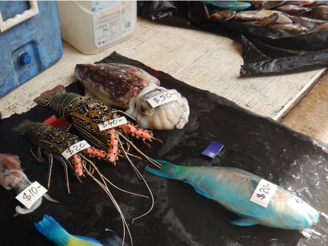 f:id:visitsolomons:20210116123701j:plain