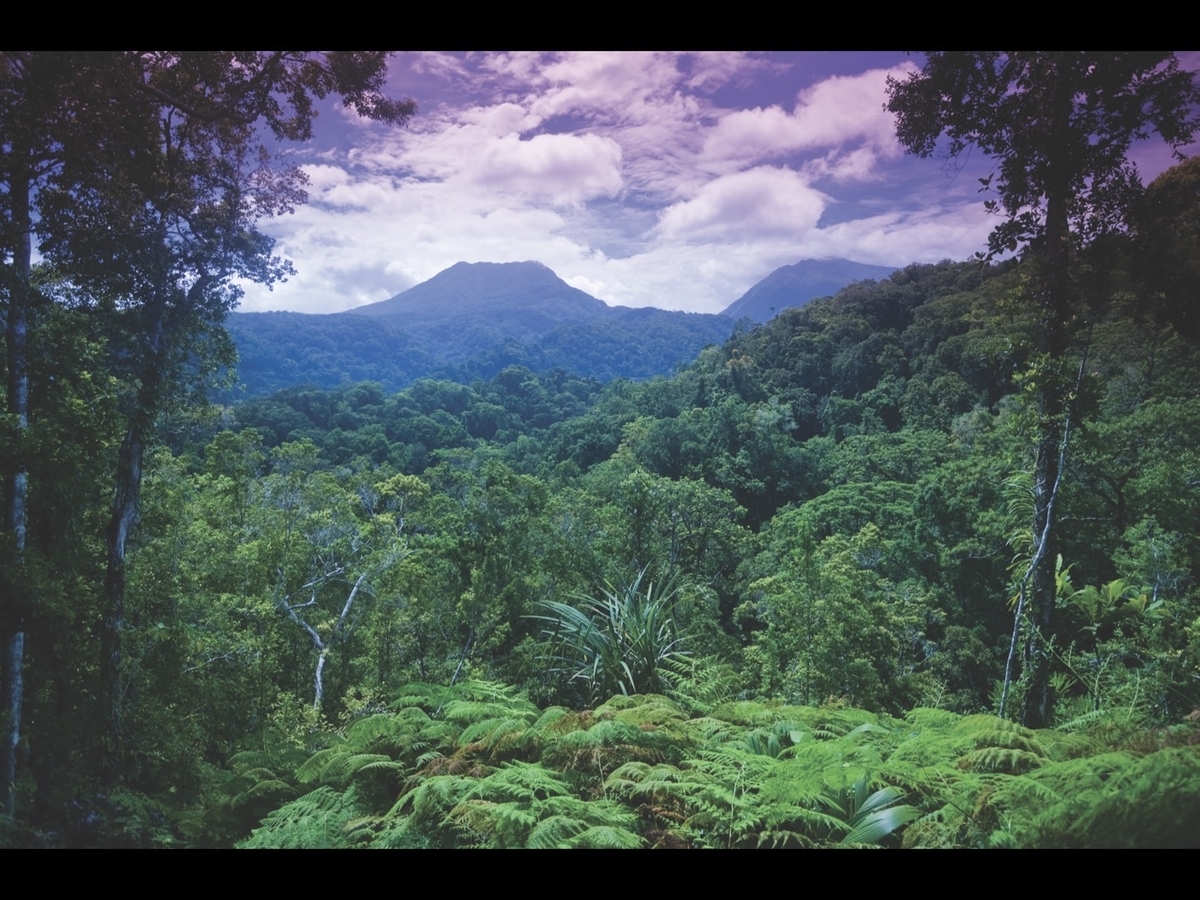 f:id:visitsolomons:20211119222550j:plain